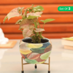 Metal Plant Pots for Living Room Set of 3 | Multipurpose Pot (Plants not Included).