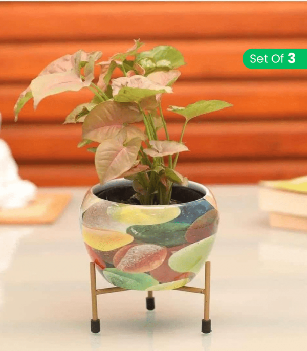 Metal Plant Pots for Living Room Set of 3 | Multipurpose Pot (Plants not Included).
