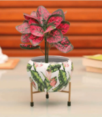 Metal Plant Pots for Living Room Set of 3 | Multipurpose Pot (Plants not Included). - Image 2