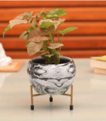 Metal Plant Pots for Living Room Set of 3 | Multipurpose Pot (Plants not Included). - Image 3
