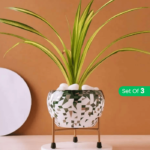 Metal Plant Pots for Living Room Set of 3 | Multipurpose Pot (Plants not Included).