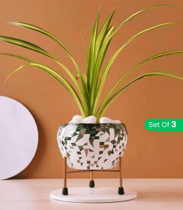 Metal Plant Pots for Living Room Set of 3 | Multipurpose Pot (Plants not Included).