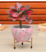 Metal Plant Pots for Living Room Set of 3 | Multipurpose Pot (Plants not Included). - Image 3