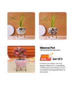 Metal Plant Pots for Living Room Set of 3 | Multipurpose Pot (Plants not Included). - Image 4